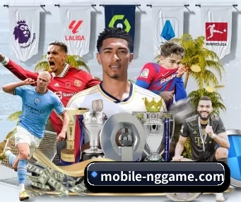 NG体育资讯中心 APP